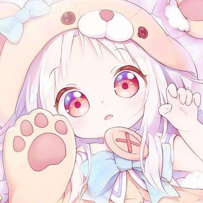 被大学生帮助到绝望的猫